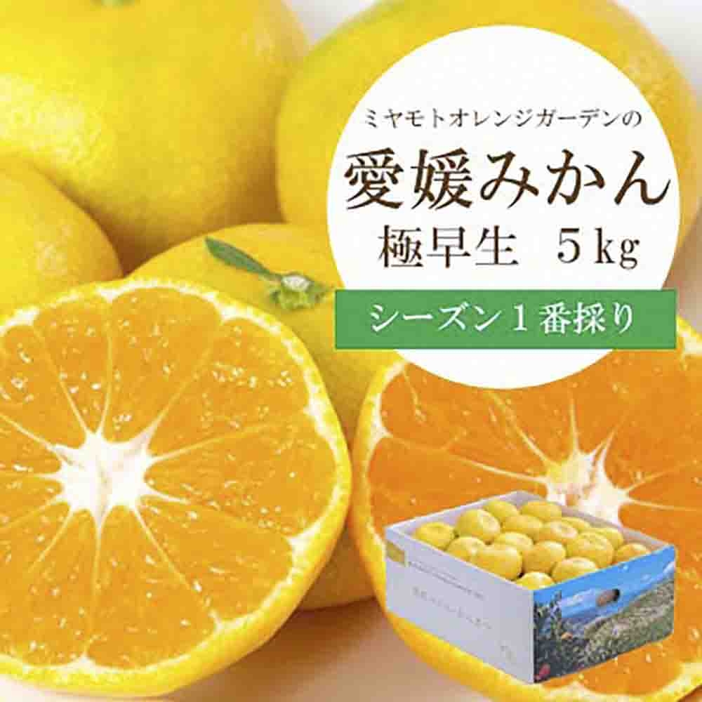 
                  シーズン1番採り!八幡浜産 極早生みかん 5kg＜C25-35＞_ みかん ミカン 柑橘 フルーツ ふるーつ 果物 くだもの 青果 極早生 甘酸っぱい 愛媛 希少 産直 産地直送 【1044407】 YWTAP026
                