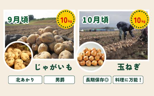 【令和８年産予約受付！】～美瑛の四季～ 野菜の定期便【白樺(大)】4回便[056-07]