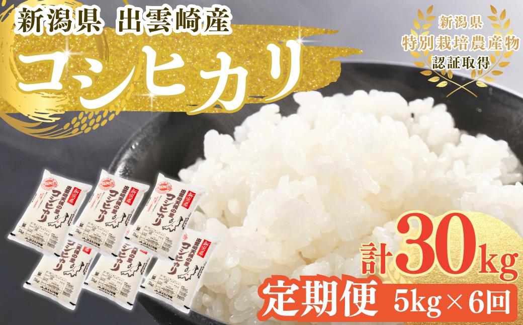 
【新米】特別栽培米 新潟県産 コシヒカリ 定期便 5kg 6か月 出雲崎町産 「天領の里」 令和6年産 白米 精米 お米 合計30kg　
