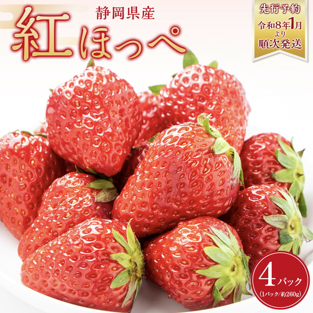 【ふるさと納税】◆先行予約　令和8年1月より順次発送◆静岡県産紅ほっぺ（約260g×4パック）JA遠州夢咲 | フルーツ 果物 くだもの 食品 いちご 紅ほっぺ 御前崎市 人気 おすすめ 送料無料