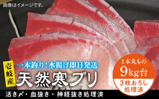 壱岐島産天然寒ブリ（9キロ台・3枚おろし） 《壱岐市》【壱岐島　玄海屋】[JBS030] ぶり 寒ぶり ブリ 魚 刺身 しゃぶしゃぶ    100000 100000円 10万円