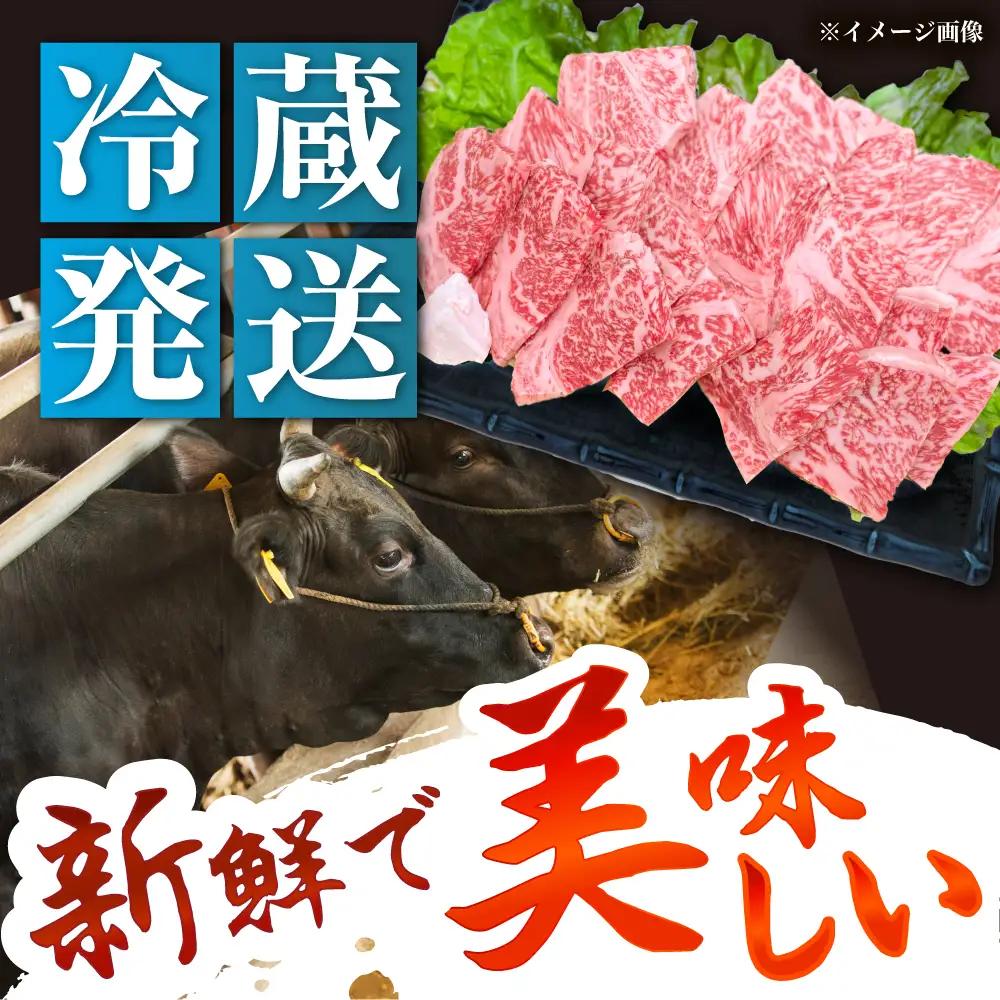 飛騨牛 A5 ロース 300g / 恵那市 / 東美濃農業協同組合 [AUFX007]