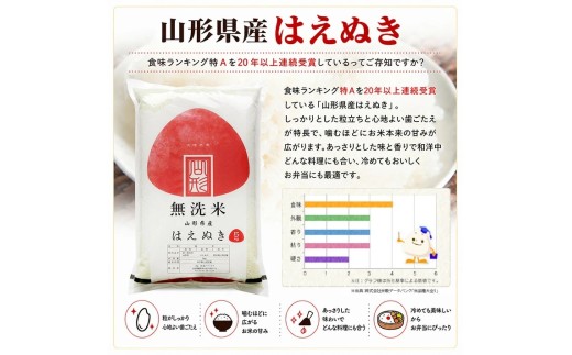 【定期便】無洗米はえぬき5kg×6ヶ月連続中旬発送 計30kg（2月～7月）