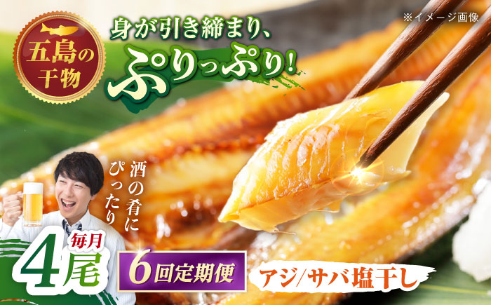 【6回定期便】【S】一夜干し 塩干し（アジ/サバ）計4尾 五島市/愛情食彩 [PCH011]