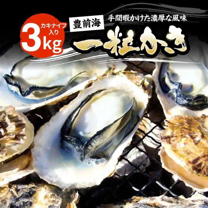 【先行予約】豊前海一粒牡蠣 3kg VAG007 牡蠣 かき