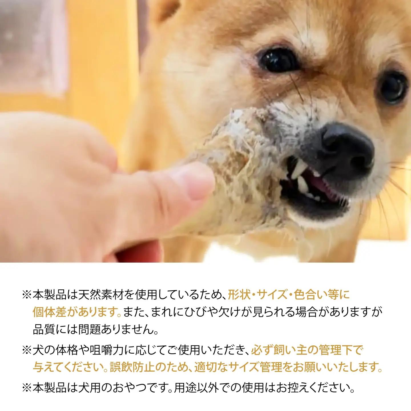 【全6回定期便】犬用高級デンタルケア 【犬道・極】 エゾ鹿 骨セット 800g以上 ～愛犬に捧ぐ　安全性優先・酸化を防ぐ「真空・冷凍保管」の超鮮度と、15年の健康～犬 ペット ペットフード 鹿 犬のお