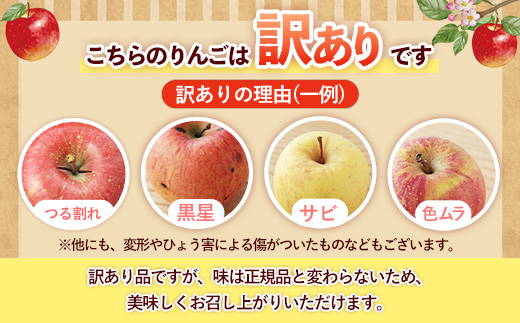 【訳あり】岩手町産りんご詰め合わせ約5kg 令和7年産 訳アリ 家庭用 規格外 不揃い りんご リンゴ サンふじ シナノゴールド シナノスイート 北斗 5kg フルーツ 果物 くだもの アップル 甘み