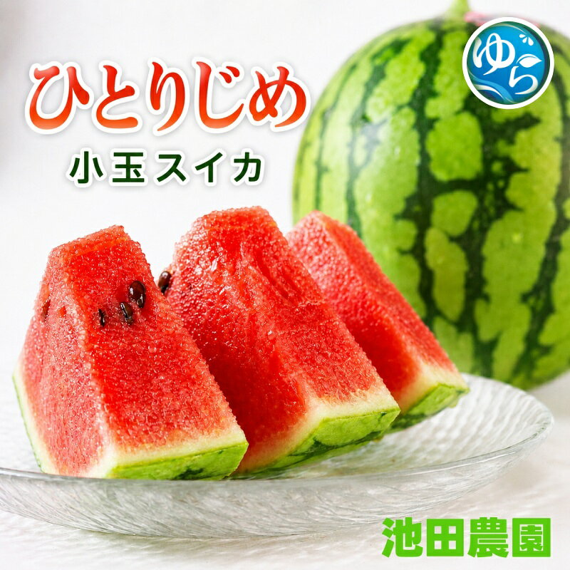 【ふるさと納税】 小玉 すいか 「ひとりじめHM」 2玉 約3kg 4玉 約6kg シャリ感＆高糖度！ [秀品] / 高級 甘い 和歌山 フルーツ 西瓜 果物 ※6月上旬〜6月下旬頃に順次発送予定 ※北海道・沖縄・離島への配送不可