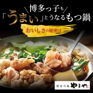 訳あり やまやもつ鍋4人前（もつ400g、スープ200g） TY5105