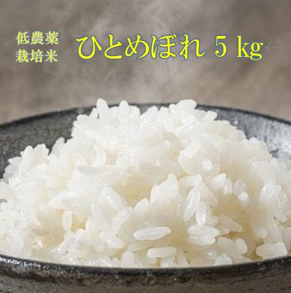 【ふるさと納税】《 新米先行予約 》令和7年産 新米 低農薬栽培米 ひとめぼれ 5kg 精米 お米 ふるさと納税 ご飯 ごはん お弁当 おにぎり 東北 国産 送料無料 米 岩手県 一関市