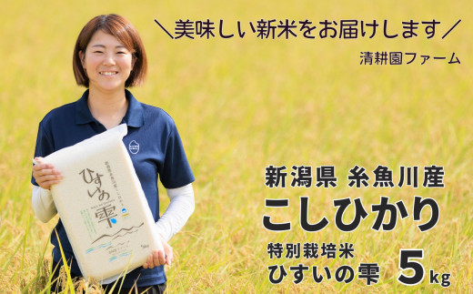 【令和8年産新米】新潟県糸魚川産コシヒカリ 5kg『ひすいの雫』専門家お墨付き 特別栽培米 清耕園ファーム 農家直送  真空パック 鮮度長持ち  白米【お米 こめ 精米 ご飯 ライス 5キロ ふるさと納税米 こしひかり 2026年産 ギフト お弁当 おにぎり にも おすすめ！】