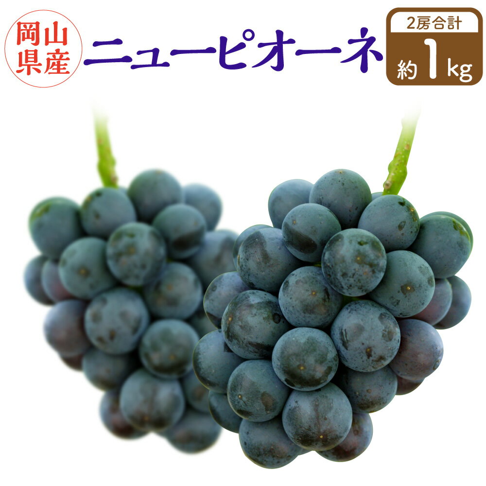 【ふるさと納税】岡山県産 ニューピオーネ 2房 （1房480g以上） 化粧箱入り 【2025年8月下旬～10月上旬迄発送予定】 果物 くだもの フルーツ ぶどう ブドウ 葡萄 岡山 おかやま 国産 冷蔵 お取り寄せ 岡山県 奈義町 送料無料