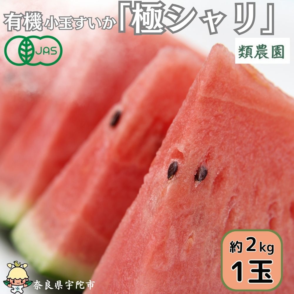 【ふるさと納税】＜予約販売＞有機小玉すいか　「極シャリ」約2kg／有機 小玉すいか 極シャリ 贈答 ギフト お盆 お供え デザート おいしい 奈良県 宇陀市 類農園