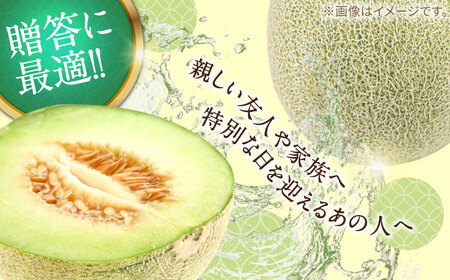 【4回定期便】メロン 4種 食べ比べ / プリンスメロン イエローキング タカミレッド タカミメロン / メロン めろん フルーツ 果物 / 南島原市 / 南島原果物屋[SCV045]