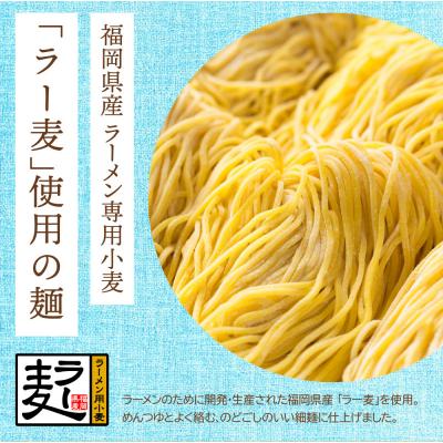 ふるさと納税 福智町 《先行受付》【4〜8月発送】福岡県産ラー麦 冷し中華セット |  | 02