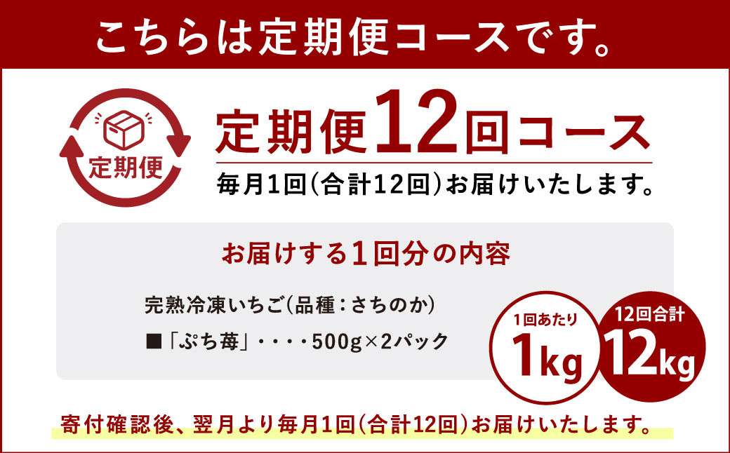 【定期便12ヶ月】完熟冷凍いちご「ぷち苺」1kg 500g×2パック 園村苺園