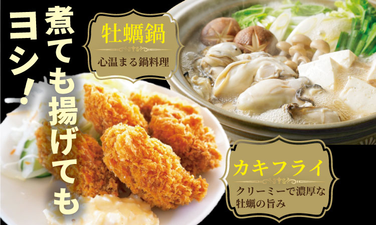 【2月配送】【先行予約】※指定日必須※ 天然 有明海産 住之江牡蠣 殻付き 冷蔵牡蠣 カキ 牡蠣 3㎏