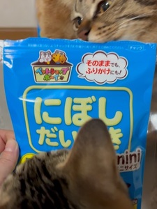 ペットフード マルトモ 減塩にぼしだいすきミニ 40g×15個セット おやつ にぼし 減塩 犬 猫 国産 国内加工 保存料 着色料 不使用 伊予市｜C154