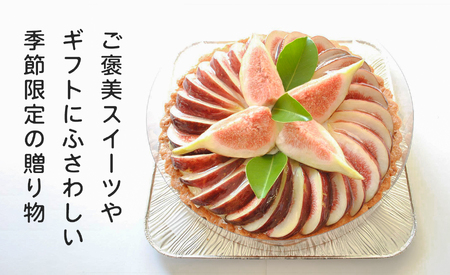 いちじく レアチーズタルト いちじくたっぷり タルト イチジク 冷凍 スイーツ 洋菓子 デザート 季節限定 お取り寄せ