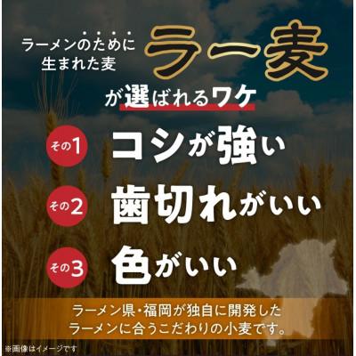 ふるさと納税 久留米市 坦坦混ぜ麺 10食 ラー麦麺 |  | 02