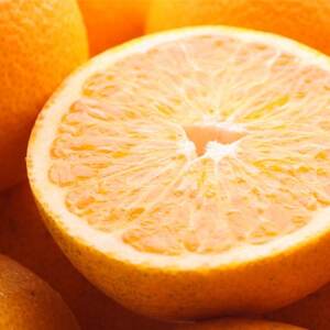 家庭用 はっさく5kg+250g(傷み補償分)【八朔みかん】【光センサー選別】【訳あり】【1241506】