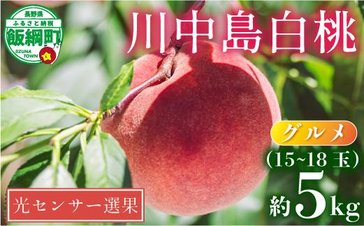 グルメ 桃 5kg （ 川中島白桃 ） 糖度13度以上 光センサー選別品沖縄県への配送不可 日時指定および不在指定不可 2026年8月下旬頃から2025年9月中旬頃まで順次発送予定 長野県 飯綱町 [0056]