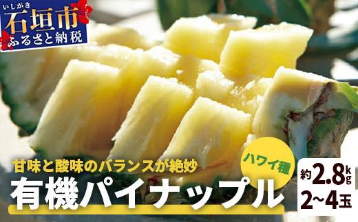 ＜先行予約＞ 石垣島産 有機パイナップル ハワイ種 2～4玉 (約2.8kg)《7月上旬順次発送》| パイナップル パインアップル 石垣島パイン フルーツ 果物 くだもの 南国フルーツ 国産パイン E-39