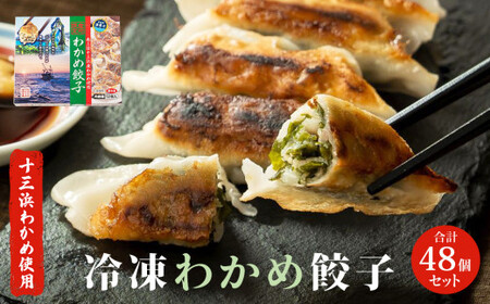 わかめ餃子　48個セット 冷凍 石巻市 十三浜産わかめ使用