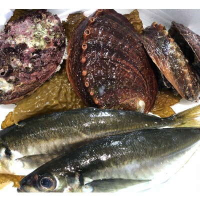 【2ヵ月毎定期便】隔月で八幡浜発、竹中水産の大アワビ600g前後(2〜3個)【H22-287】全3回【配送不可地域：離島・北海道・沖縄県】【4076448】