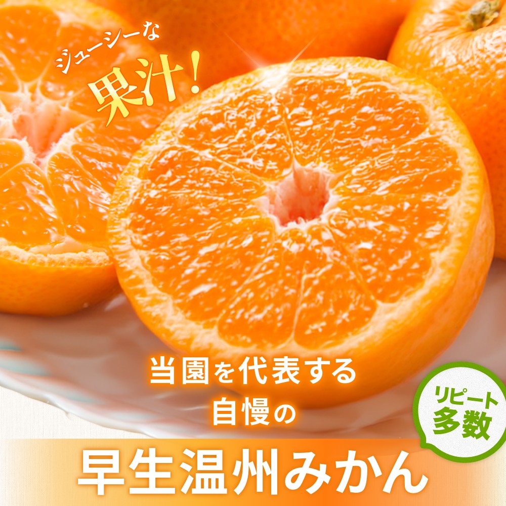 <テレビで紹介されました> 金山パイロットファーム 温州みかん 10㎏ (早生) みかん ミカン 温州みかん【knpr0015A】