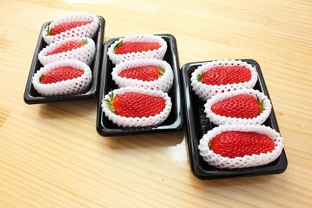 ≪数量限定≫ あきひめ スーパープレミアム 9個 (特大3個入り×3パック) 【2026年1月以降発送予定】 京都 丹波高原育ちの苺 京丹波町産 章姫 完熟 いちご 甘さ抜群 サイズ大 ビッグ 大粒