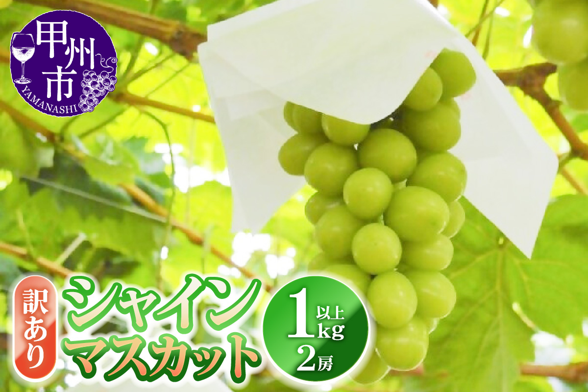 訳あり シャインマスカット 1.0kg以上 2房【2026年発送】（YKI）A06-990