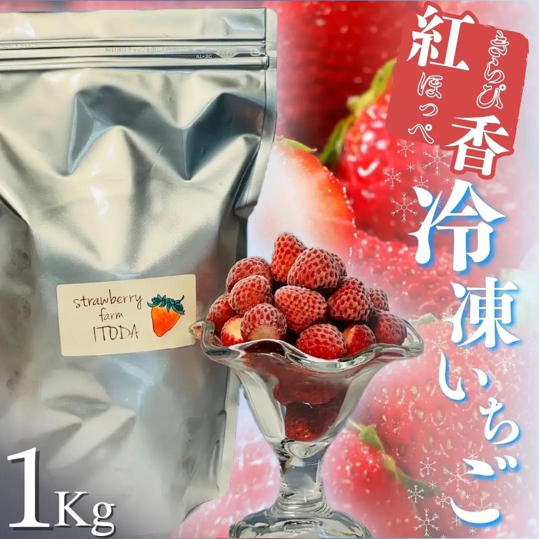 【先行予約_2026年発送】地元JA品評会金賞受賞 冷凍いちご1kg 紅ほっぺ きらぴ香 【 フローズン ストロベリー スムージー 苺 いちご 】
