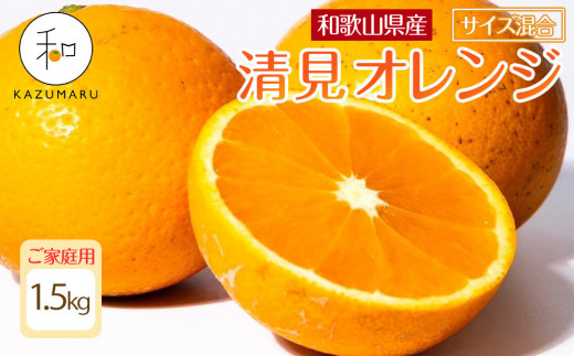 
            家庭用 森本農園の手選別 清見オレンジ1.5kg 和歌山県産 サイズ混合 ［北海道・沖縄・離島配送不可］［RN21］［2026年2月上旬から5月中旬頃順次発送予定］
          