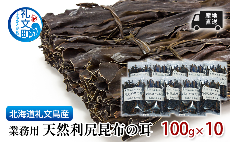 北海道 礼文島産 業務用 産地直送天然利尻昆布の耳 100g×10 昆布 だし