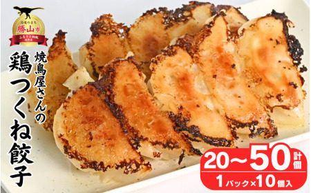 焼鳥屋さんの鶏つくね餃子　10個入り　4パック　［A-084003］