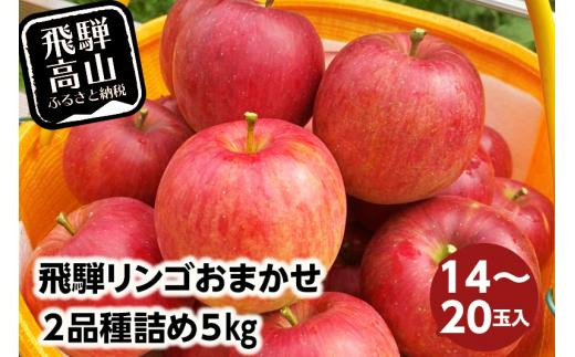 【令和8年産】≪9月中旬～順次発送≫ 飛騨リンゴ 5kg（14～20玉入り）おまかせ２品種 食べ比べ | 数量限定 果物 りんご リンゴ 林檎 フルーツ 旬 飛騨高山 15000円 1万5千円 ぜんぞう果樹園 FX004-26