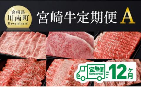 【定期便】宮崎牛12ヶ月定期便A 【 4大会連続日本一 国産 九州産 肉 牛 宮崎県産 牛肉 黒毛和牛 ミヤチク 全12回 】