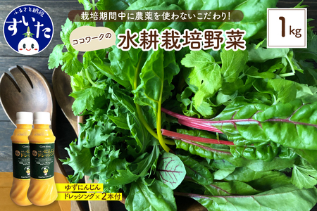ココワークの水耕栽培野菜 約1kg ゆず人参ドレッシング2本 セット 栽培期間中 農薬不使用【大阪府吹田市】さっと洗うだけ 食べやすい お取り寄せ