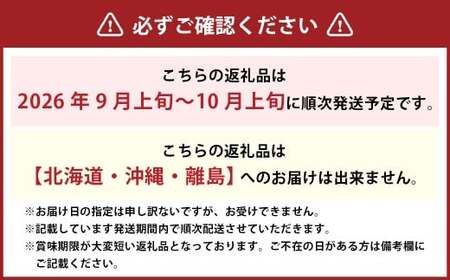 ぼっけえ大粒 ニューピオーネ 1房 （800g以上） 化粧箱入り 【2026年9月上旬～10月上旬迄発送予定／ 葡萄 ぶどう 果物 果実 フルーツ 種なし 大粒 岡山県 美咲町 冷蔵