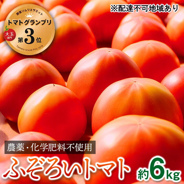 【ふるさと納税】【トマトGP受賞】栽培期間中農薬化学肥料不使用 お得なプレミアムトマト ふぞろい約6kg 野菜 　お届け：2025年12月1日から2026年5月31日
