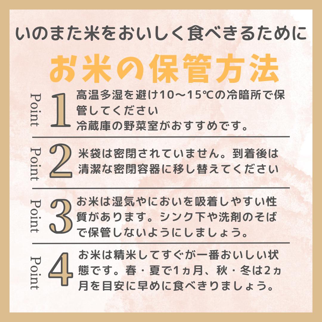 先祖代々、この穀倉地帯で稲を育ててきました