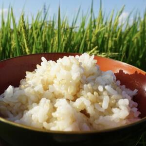 【定期便】あきたこまち酵素玄米パックごはん【乳酸菌入り】（3ヵ月）【(株)鈴木又五郎商店】[D2302]