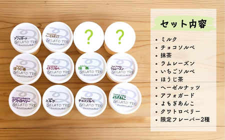 【手作りジェラート】アイスクリーム 詰め合わせ 12種類（12個入）ミルク いちご 抹茶 ほうじ茶 アフォガード ラムレーズン ヘーゼルナッツ よもぎあんこ チョコ クワトロベリー 季節のおすすめ 新