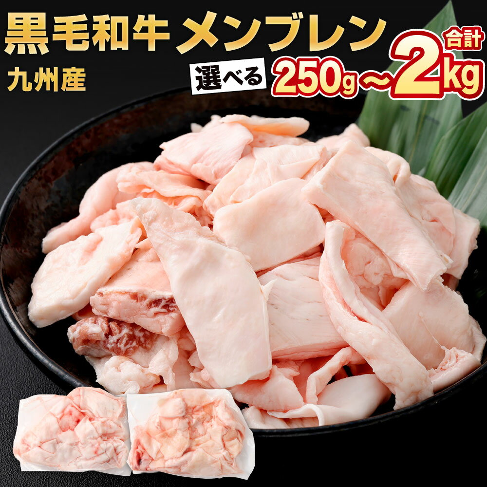 【ふるさと納税】九州産 黒毛和牛 メンブレン 1パック約250g入り 選べる 1パック / 2パック / 4パック / 6パック / 8パック 牛肉 牛すじ スジ肉 小分け お肉 煮込み 冷凍 国産 福岡県北九州市