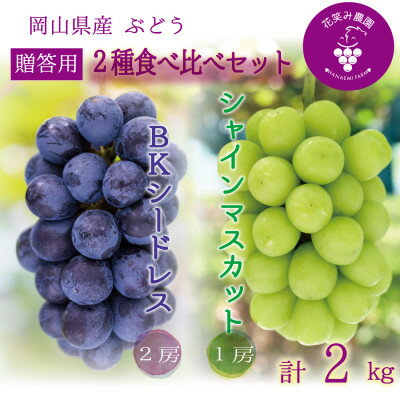 【ふるさと納税】岡山　花笑み農園の『シャインマスカット&BKシードレス』贈答用　約2kg　BS-2上　9月下旬～発送【配送不可地域：離島】【1650765】