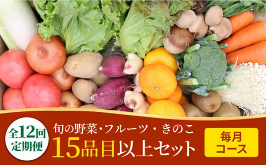 【12回定期便】豪華！野菜 セット 15品目以上 毎月コース 野菜定期便 / 野菜 定期便 やさい 定期便 野菜セット やさいセット 春野菜 夏野菜 秋野菜 冬野菜 旬 / 南島原市 / 吉岡青果 [SCZ019]