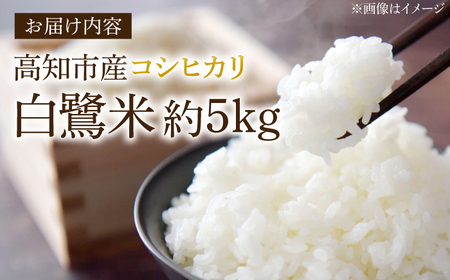 農薬節減！ R7年度産 特別栽培米 白鷺米 コシヒカリ 約5kg ＜2025年9月中旬~発送＞ / 高知 米 お米 精米　【津ノ宮農園】[ATBV019]