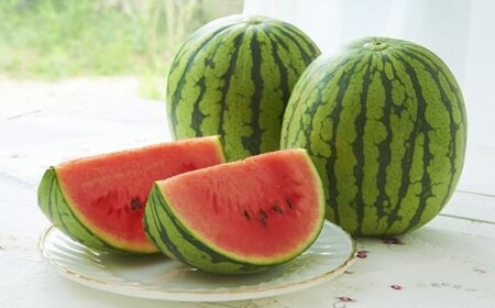 熊本県産 小玉スイカ 2玉 【2026年5月上旬発送開始】 果物 フルーツ スイカ 小玉 旬 旬のフルーツ