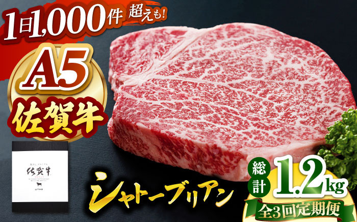 
                  【全3回定期便】佐賀牛 A5 シャトーブリアン 400g ( 200g×2枚 ) 【山下牛舎】 [HAD069]ヒレ ヒレステーキ 厚切り 希少部位 フィレ A5 牛肉 ギフト お祝い 贈答
                